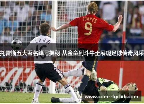 托雷斯五大著名绰号揭秘 从金童到斗牛士展现足球传奇风采