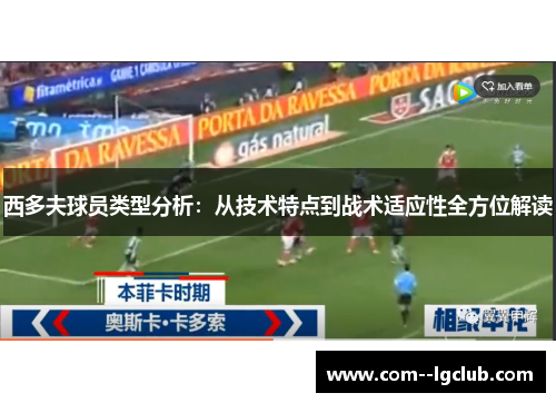 西多夫球员类型分析：从技术特点到战术适应性全方位解读