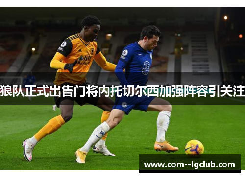 狼队正式出售门将内托切尔西加强阵容引关注 狼队正式出售门将内托切尔西加强阵容引关注